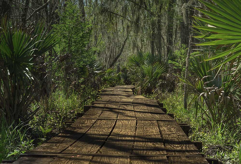 Big Cypress RV Trail