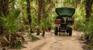 Florida Seminole Tourism - Billie Swamp Safari - Adventure Rides