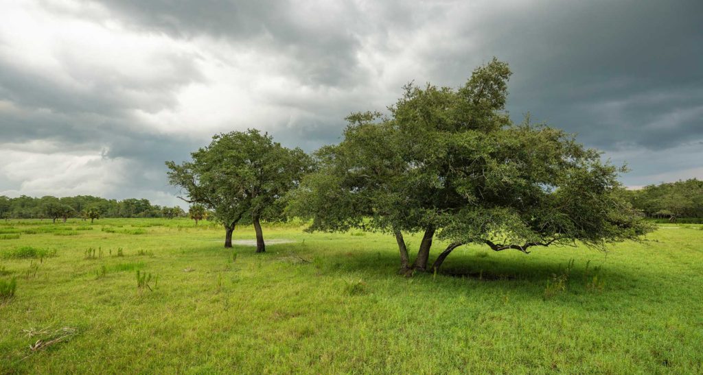 Florida Seminole Tourism - Learn the Culture