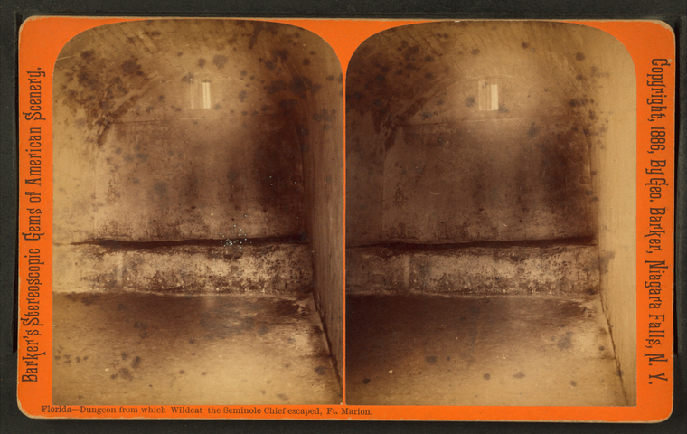The Miriam and Ira D. Wallach Division of Art, Prints and Photographs: Photography Collection, The New York Public Library. "Dungeon, from which Wildcat, the Seminole Chief escaped from Fort Marion, Florida." The New York Public Library Digital Collections. 1886.